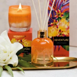 Stoneglow Infusion Adventure Saffron & Bergamot Tumbler Candle -gifts shop 70492 stoneglow infusion adventure reed diffuser lifestyle