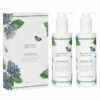 Botanic Garden Hydrangea Hand Wash & Lotion Gift Set