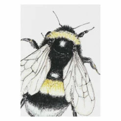 Toasted Crumpet ‘Spring To Summer’ Notecards Mixed Set Of 8 -gifts shop bx01 toasted crumpet spring to summer notecards mixed set of 8 3