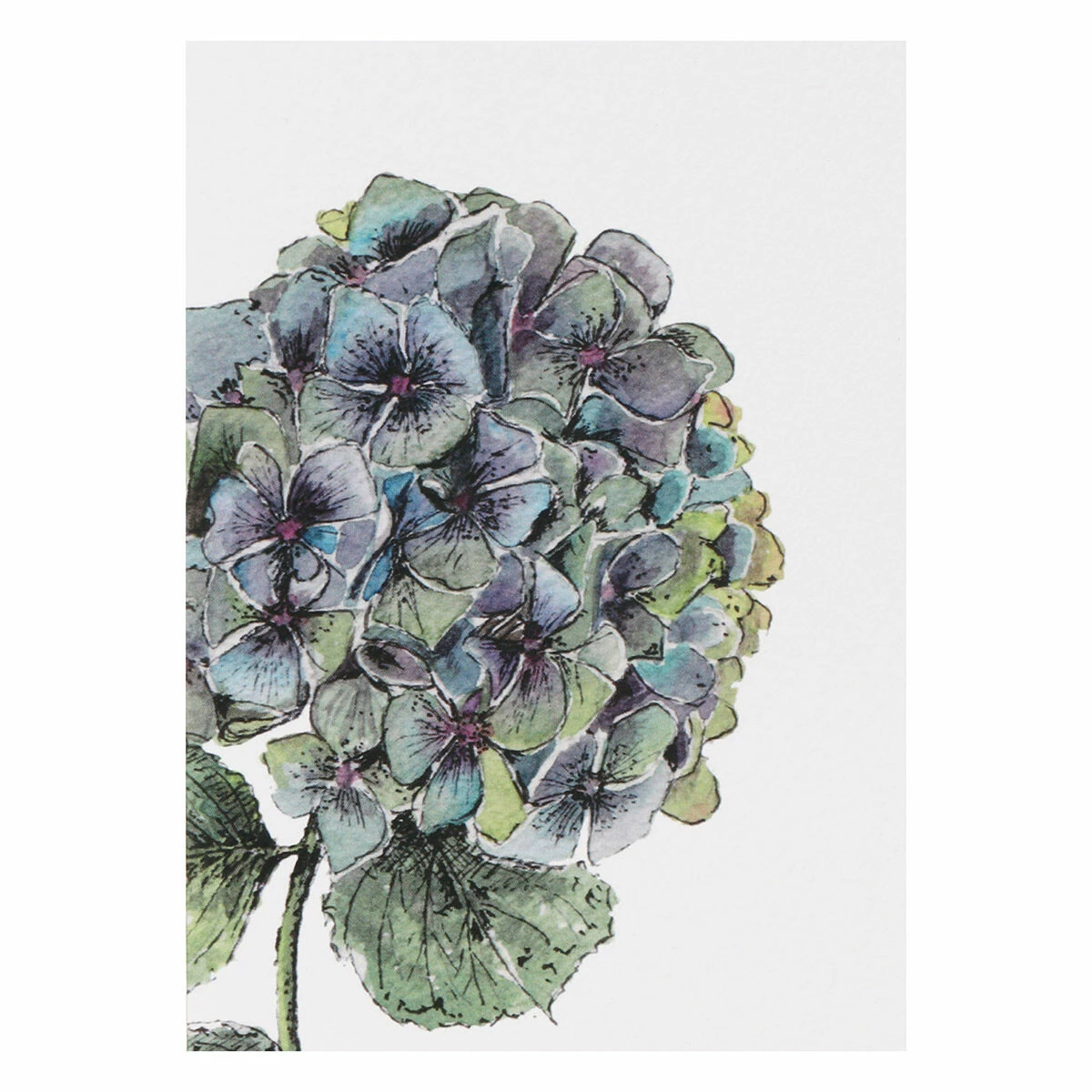 Toasted Crumpet ‘Botanicals’ Notecards Mixed Set Of 8 10 Toasted Crumpet ‘Botanicals’ Notecards Mixed Set Of 8 - Image 10