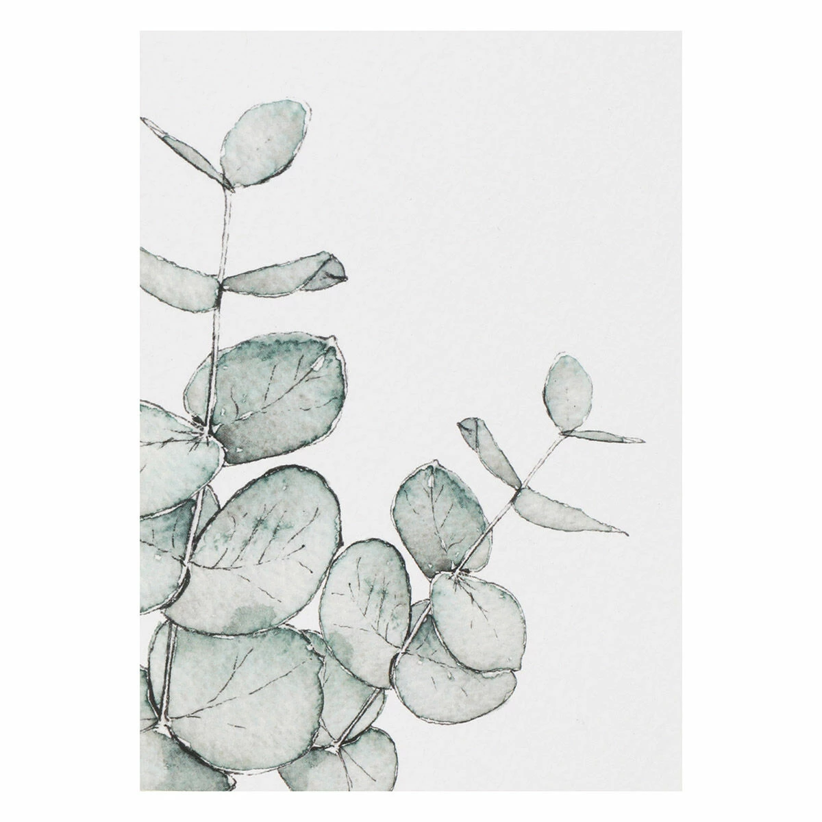 Toasted Crumpet ‘Botanicals’ Notecards Mixed Set Of 8 8 Toasted Crumpet ‘Botanicals’ Notecards Mixed Set Of 8 - Image 8