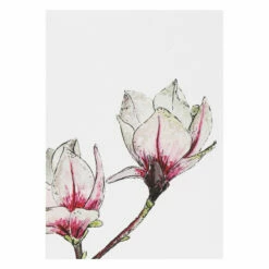 Toasted Crumpet ‘Botanicals’ Notecards Mixed Set Of 8 16 Toasted Crumpet ‘Botanicals’ Notecards Mixed Set Of 8 -gifts shop bx03 toasted crumpet botanicals notecards mixed set of 8 4