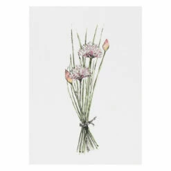 Toasted Crumpet ‘Botanicals’ Notecards Mixed Set Of 8 14 Toasted Crumpet ‘Botanicals’ Notecards Mixed Set Of 8 -gifts shop bx03 toasted crumpet botanicals notecards mixed set of 8 5