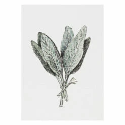 Toasted Crumpet ‘Botanicals’ Notecards Mixed Set Of 8 21 Toasted Crumpet ‘Botanicals’ Notecards Mixed Set Of 8 -gifts shop bx03 toasted crumpet botanicals notecards mixed set of 8 6