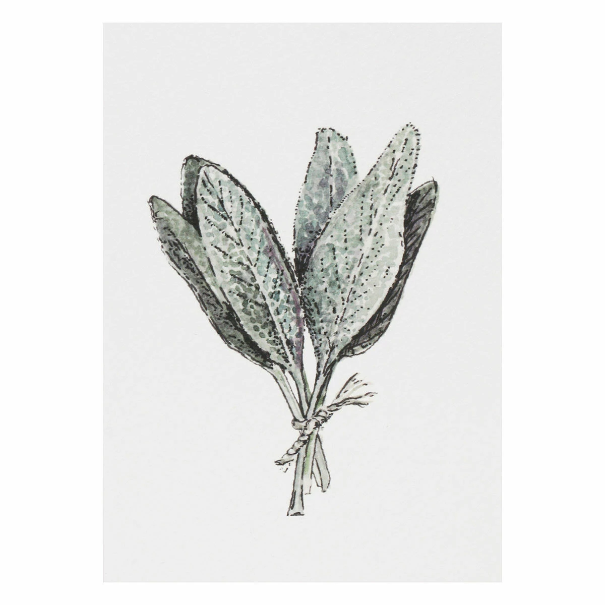 Toasted Crumpet ‘Botanicals’ Notecards Mixed Set Of 8 11 Toasted Crumpet ‘Botanicals’ Notecards Mixed Set Of 8 - Image 11