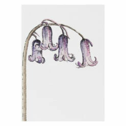 Toasted Crumpet ‘Botanicals’ Notecards Mixed Set Of 8 19 Toasted Crumpet ‘Botanicals’ Notecards Mixed Set Of 8 -gifts shop bx03 toasted crumpet botanicals notecards mixed set of 8 9