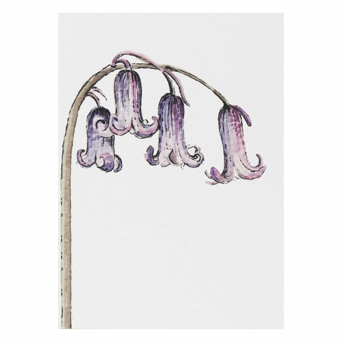 Toasted Crumpet ‘Botanicals’ Notecards Mixed Set Of 8 9 Toasted Crumpet ‘Botanicals’ Notecards Mixed Set Of 8 - Image 9