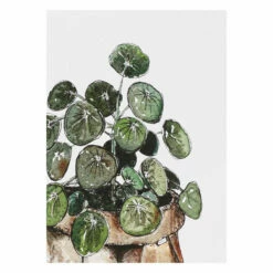 Toasted Crumpet ‘Greenery’ Notecards Mixed Set Of 8 -gifts shop bx06 toasted crumpet greenery notecards mixed set of 8 10