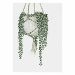 Toasted Crumpet ‘Greenery’ Notecards Mixed Set Of 8 -gifts shop bx06 toasted crumpet greenery notecards mixed set of 8 4