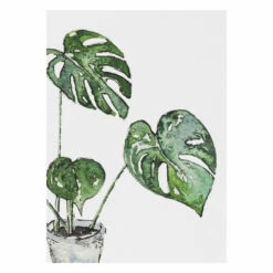 Toasted Crumpet ‘Greenery’ Notecards Mixed Set Of 8 -gifts shop bx06 toasted crumpet greenery notecards mixed set of 8 6