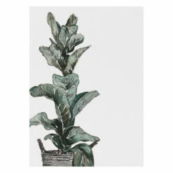 Toasted Crumpet ‘Greenery’ Notecards Mixed Set Of 8 -gifts shop bx06 toasted crumpet greenery notecards mixed set of 8 7