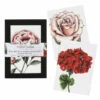 Toasted Crumpet ‘Blooming Marvellous’ Notecards Mixed Set Of 8