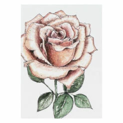 Toasted Crumpet ‘Blooming Marvellous’ Notecards Mixed Set Of 8 -gifts shop bx10 toasted crumpet blooming marvellous notecards mixed set of 8 3