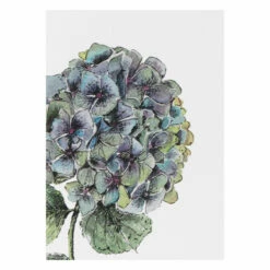 Toasted Crumpet ‘Blooming Marvellous’ Notecards Mixed Set Of 8 -gifts shop bx10 toasted crumpet blooming marvellous notecards mixed set of 8 6