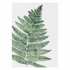 Toasted Crumpet ‘Blooming Marvellous’ Notecards Mixed Set Of 8 -gifts shop bx10 toasted crumpet blooming marvellous notecards mixed set of 8 7