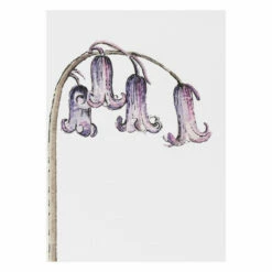 Toasted Crumpet ‘Blooming Marvellous’ Notecards Mixed Set Of 8 -gifts shop bx10 toasted crumpet blooming marvellous notecards mixed set of 8 8