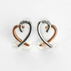 Equilibrium Polished Two Tone Layered Heart Earrings