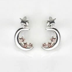 Equilibrium Two Tone Polished Pretty Moon & Star Earrings
