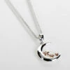 Equilibrium Two Tone Polished Pretty Moon & Stars Necklace