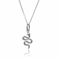 Elements Snake Silver Necklace