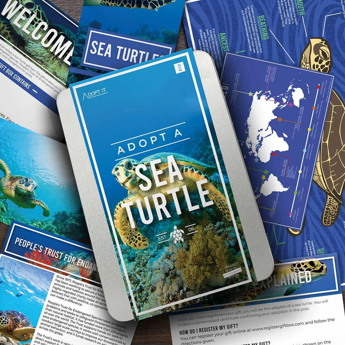 Gift Republic Adopt A Sea Turtle 1 Gift Republic Adopt A Sea Turtle