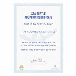Gift Republic Adopt A Sea Turtle 5 Gift Republic Adopt A Sea Turtle -gifts shop gift republic gr100023 adopt a sea turtle 4 1