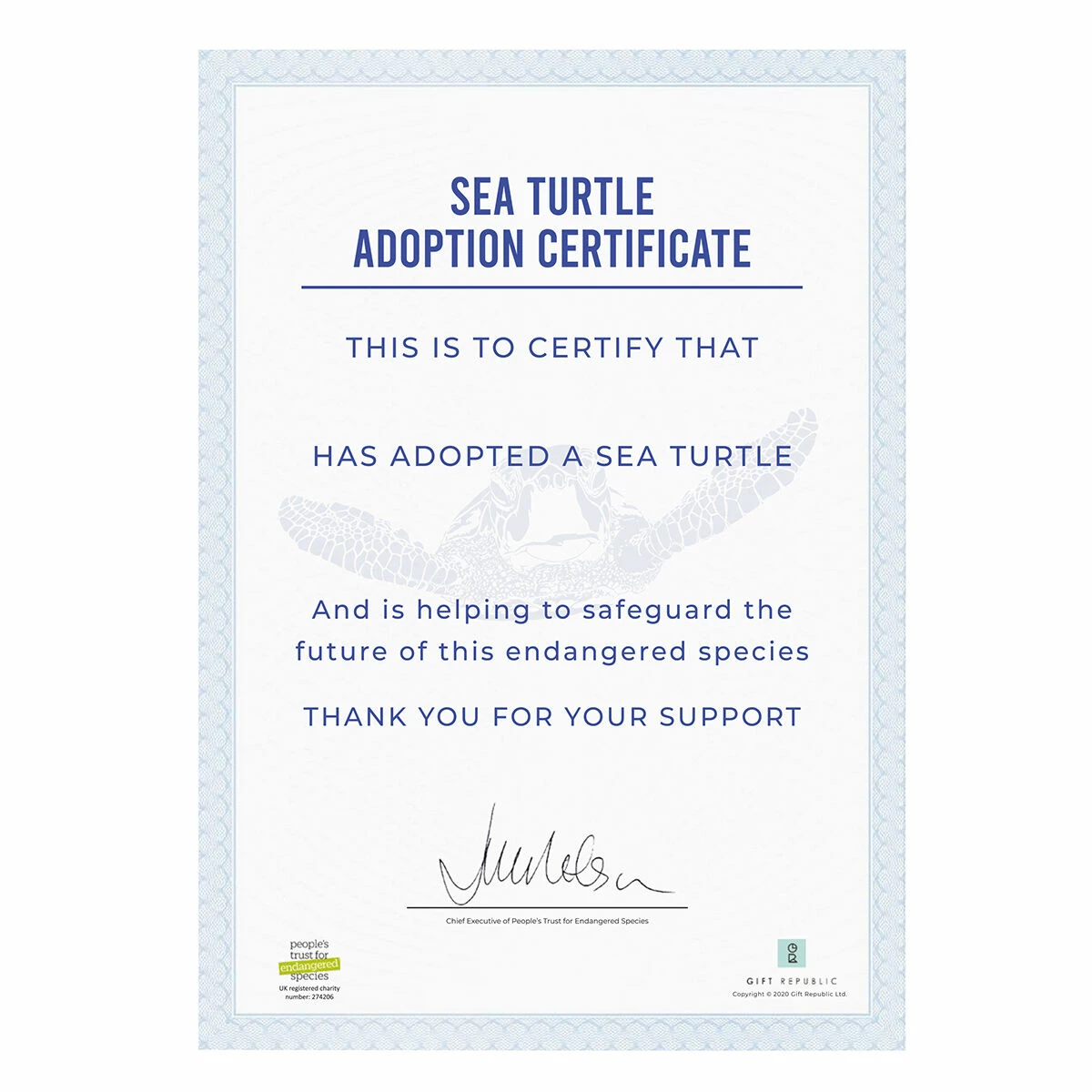 Gift Republic Adopt A Sea Turtle 3 Gift Republic Adopt A Sea Turtle - Image 3