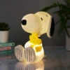 House Of Disaster Peanuts LED Snoopy & Woodstock Light