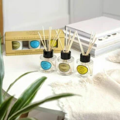 The Somerset Toiletry Co Naturally European Set Of 3 Reed Diffusers Gift Set 7 The Somerset Toiletry Co Naturally European Set Of 3 Reed Diffusers Gift Set -gifts shop the somerset toiletries co 91744 ne reed diffuser gift set ls