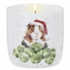 Wrendale ‘Sprouts’ Fragranced Jar Christmas Candle