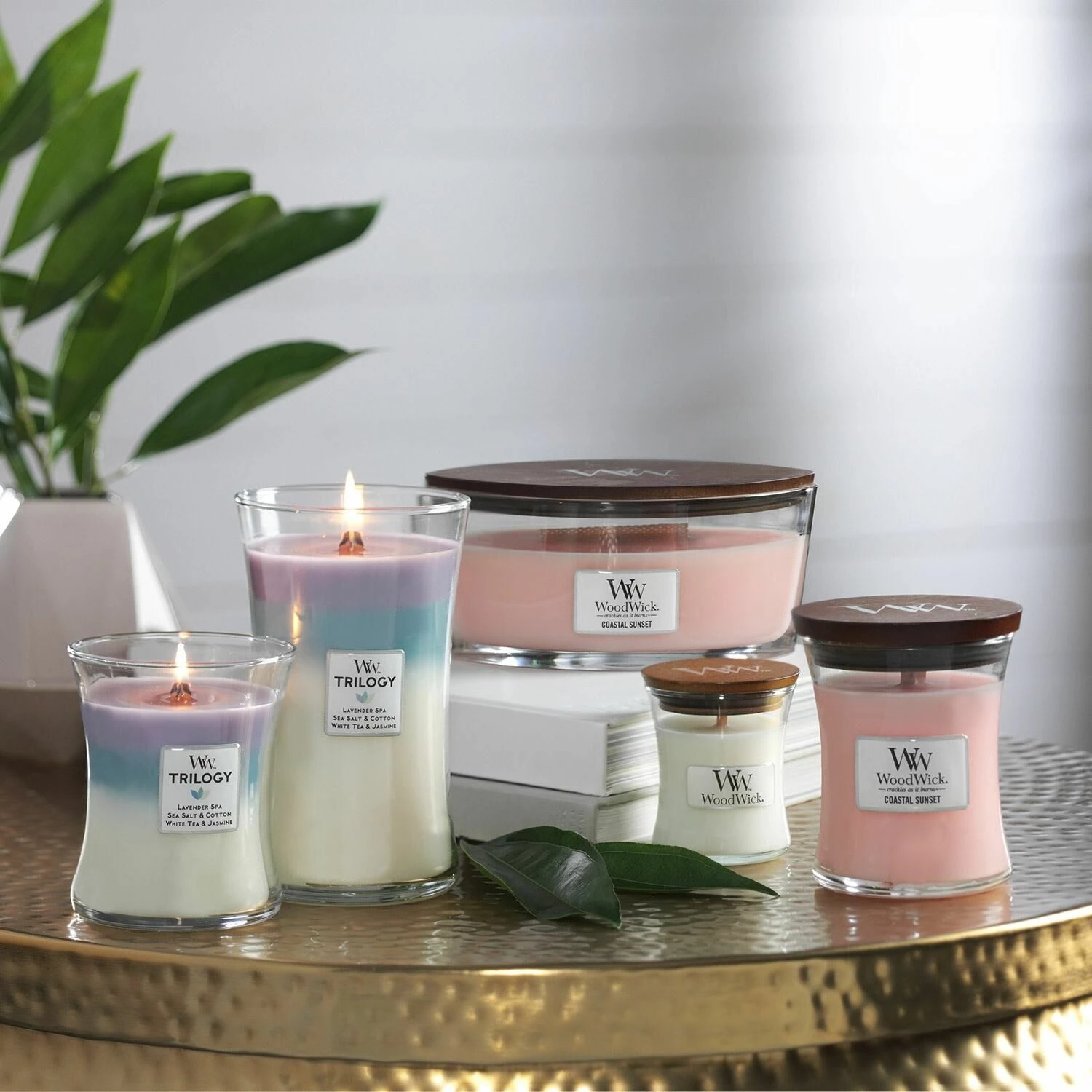 WoodWick Island Getaway Large Trilogy Candle 4 WoodWick Island Getaway Large Trilogy Candle - Image 4