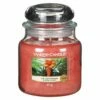 Yankee Candle The Last Paradise Medium Jar Candle